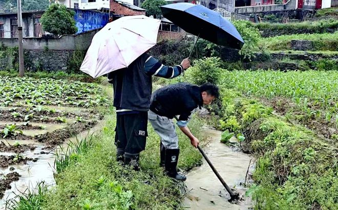 夏种进入高峰期 各地抗旱保夏种